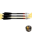 Carbonpfeile, leichte Jagdpfeile Steambow AR-Series – Bild 2