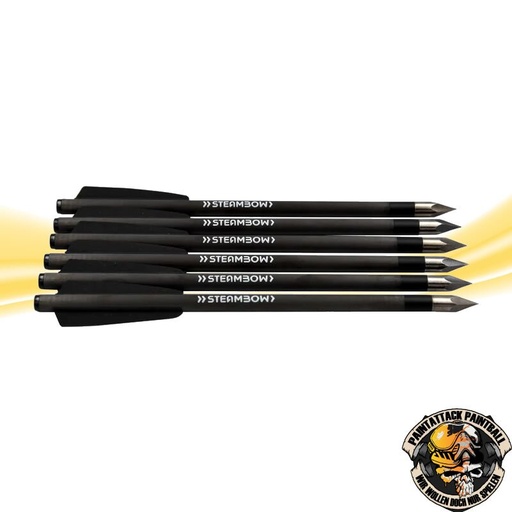 [6718] AR-Series – Carbonpfeile, leichte Bodkinpfeile für Armbrust von Steambow